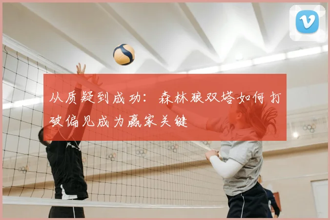 从质疑到成功：森林狼双塔如何打破偏见成为赢家关键