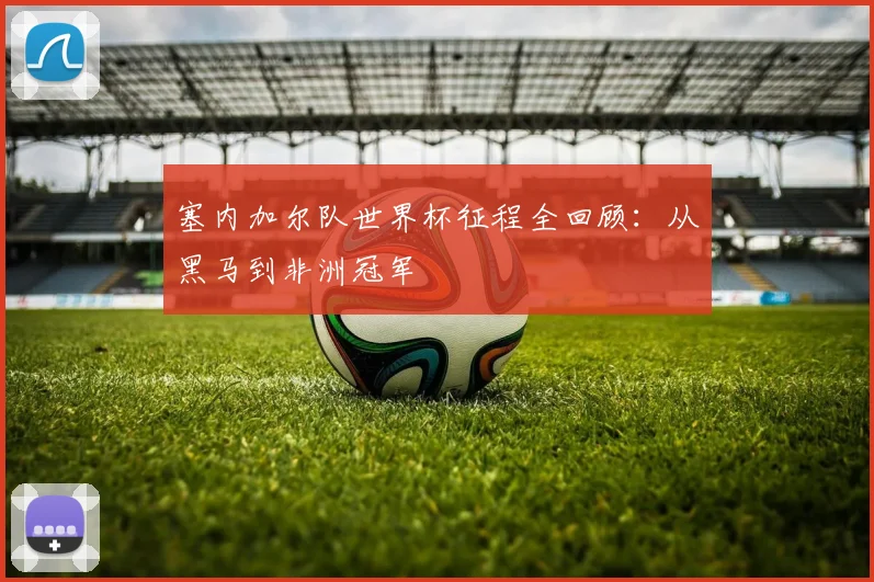 塞内加尔队世界杯征程全回顾：从黑马到非洲冠军