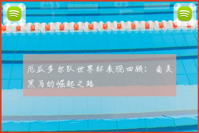 厄瓜多尔队世界杯表现回顾：南美黑马的崛起之路
