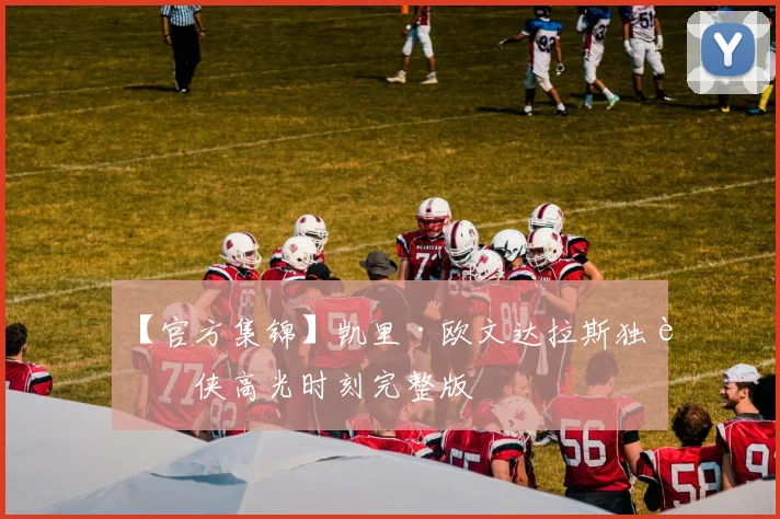 【官方集锦】凯里·欧文达拉斯独行侠高光时刻完整版